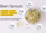 Bean sprouts nutrition facts