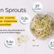 Bean Sprouts Nutrition Facts A Comprehensive Guide